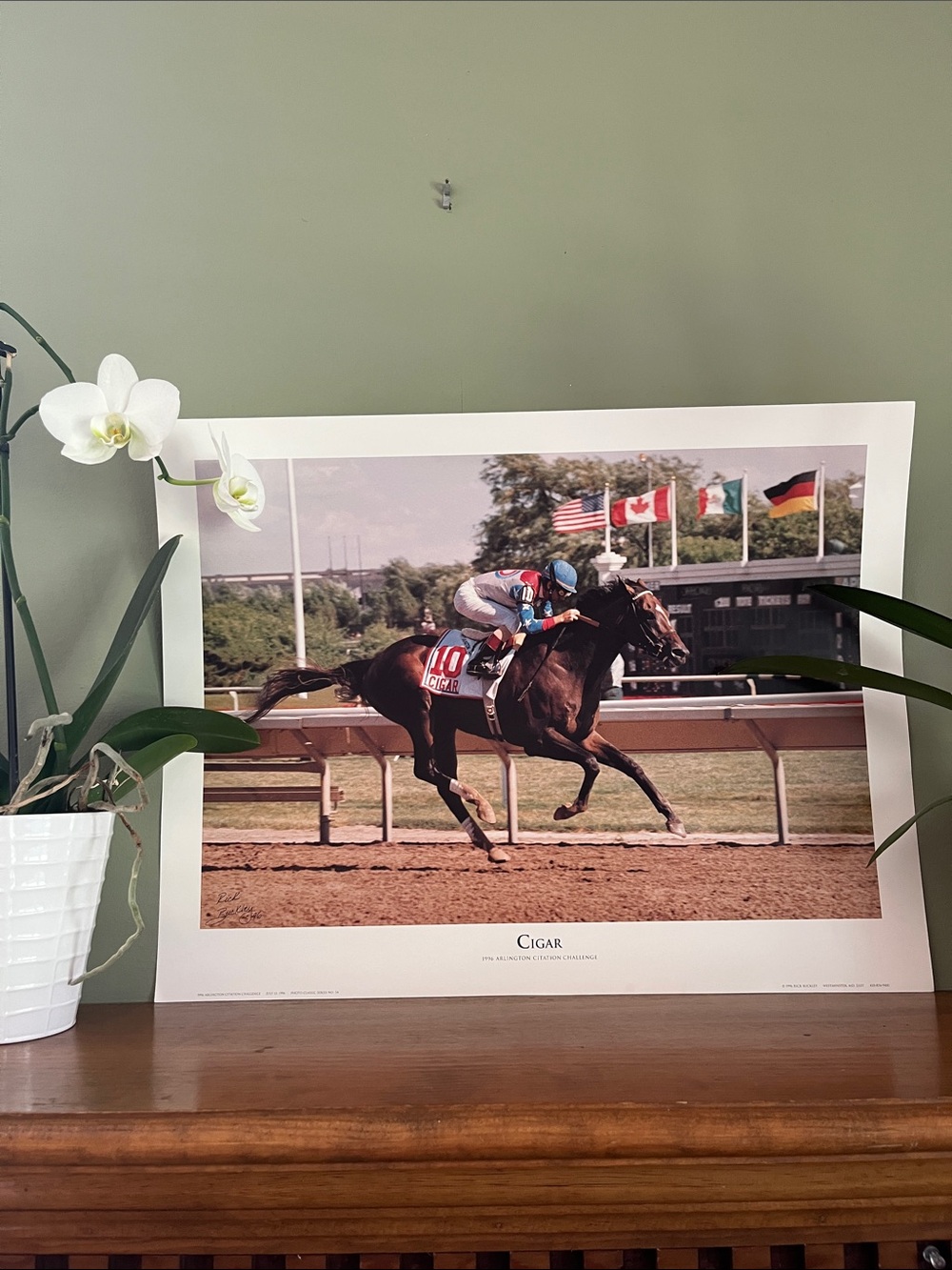 Large Cigar Horse Racing Vintage New Poster from 1996 Arlington Park!